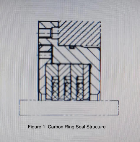 Carbon Ring Seal Structure and Applications 1